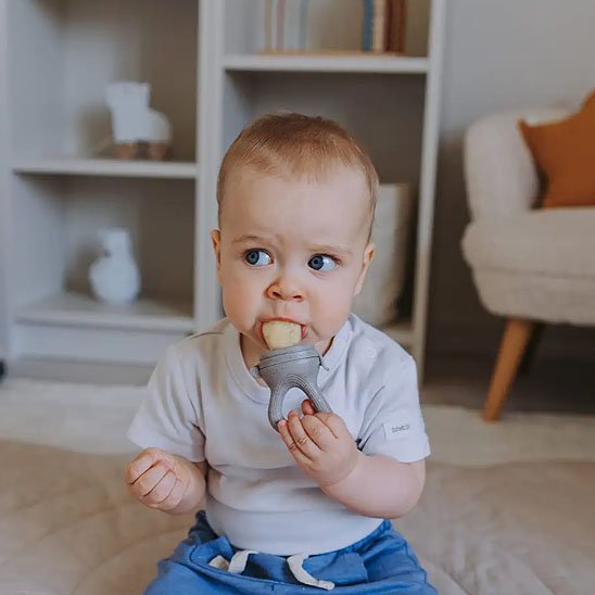 Grignoteuse bebe | Sécuri'Miam - Brico - Bébé.com