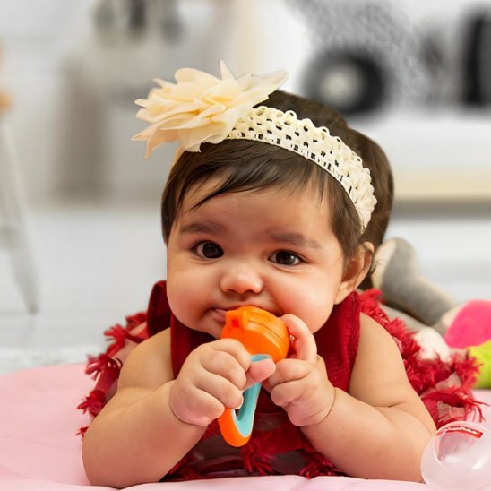 Grignoteuse bebe | Sécuri'Miam - Brico - Bébé.com
