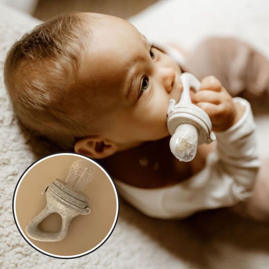 Grignoteuse bebe | Sécuri'Miam - Brico - Bébé.com