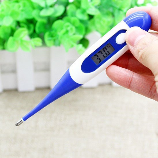 Thermomètre digital | Rapid60 - Brico-Bébé.com